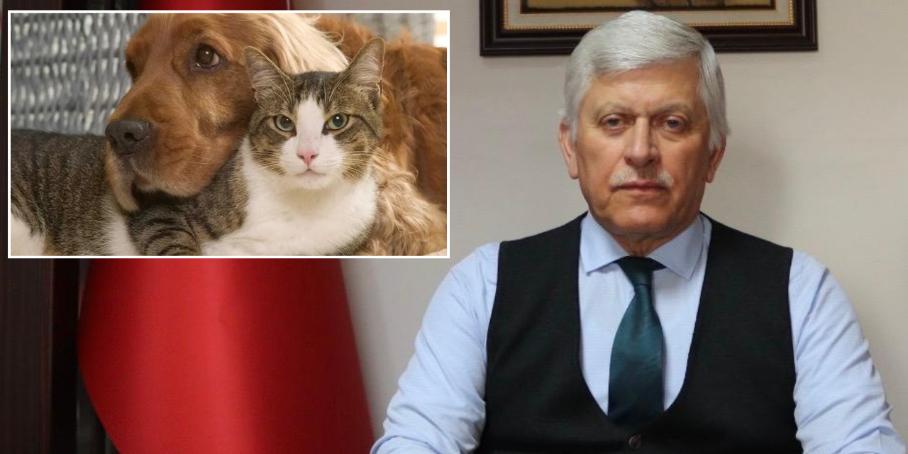 Veteriner Hekimleri Başkanı Eroğlu’ndan sokak hayvanları açıklaması: Cezaların caydırıcılığı halen yetersiz