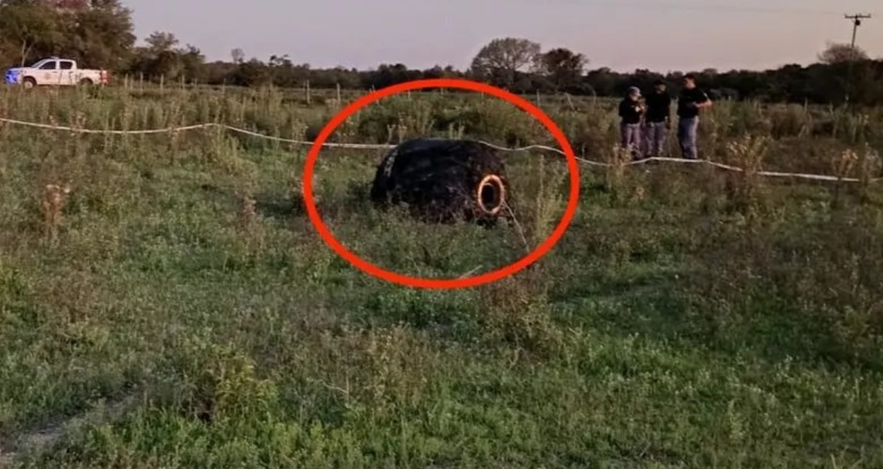 gokyuzunden tuylu bir cisim firlayarak koyun ortasina dustu goren soke oluyor b5PiXgR3