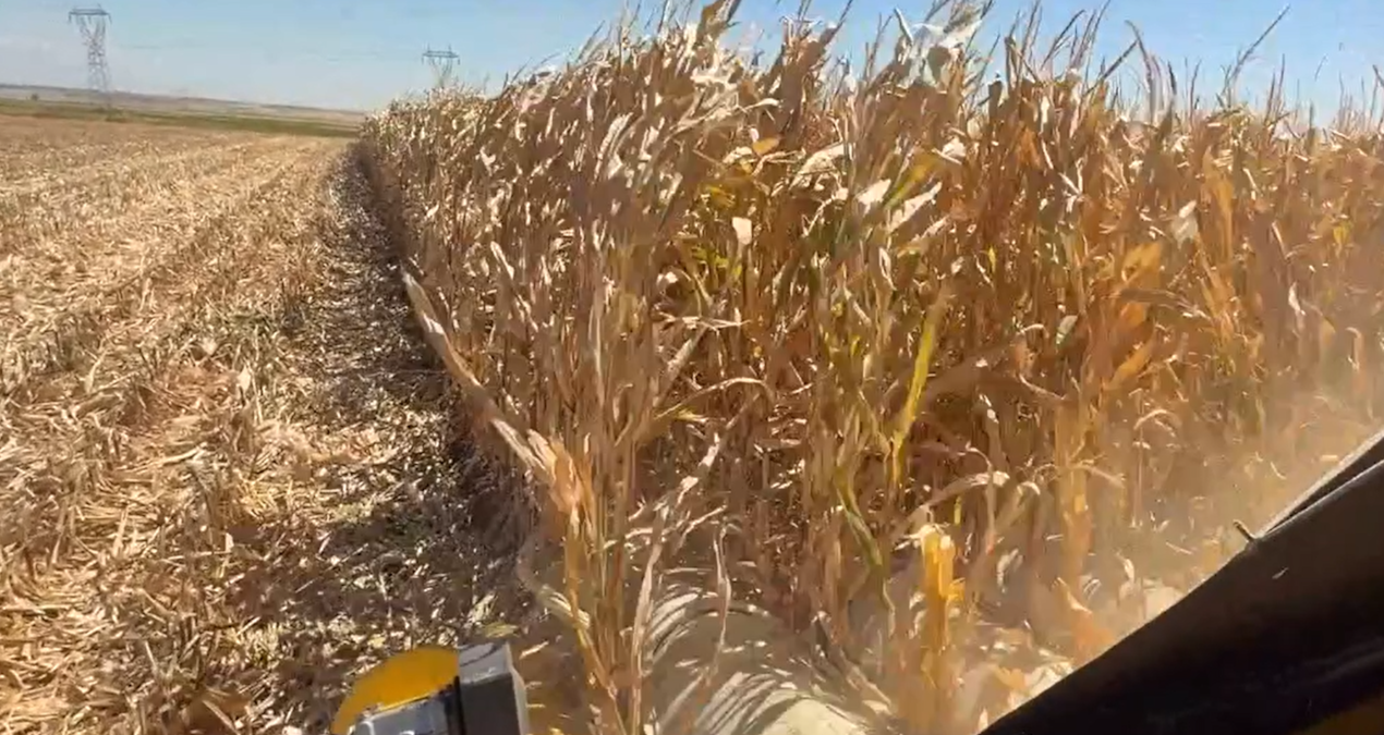 ureticiden erdogana biz bu ulkenin uvey evladi degiliz DT7rNXHW