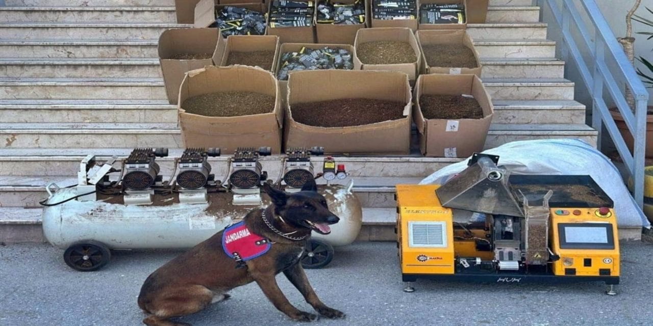 Sakarya’da Kaçak Tütün Operasyonu: Binlerce Makaron ve Silah Ele Geçirildi