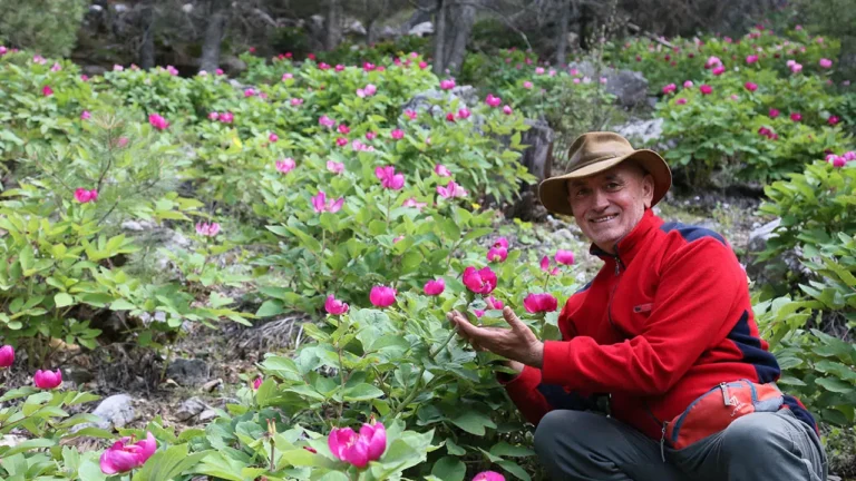 likya-yolunda-sakayik-zamani-koparmanin-cezasi-699-bin-tl-98RS5j8m